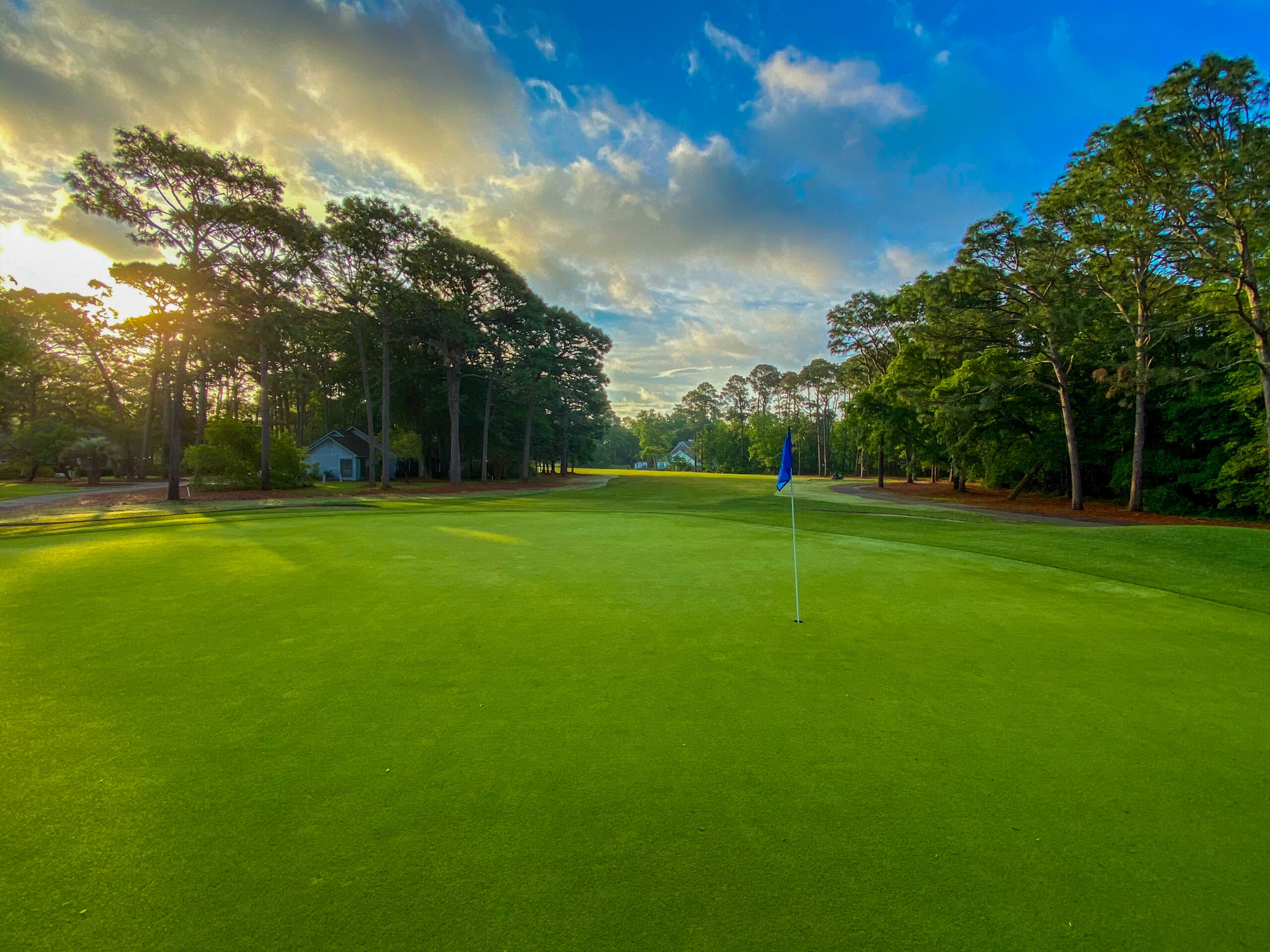 Litchfield CC 9th Green sunrise