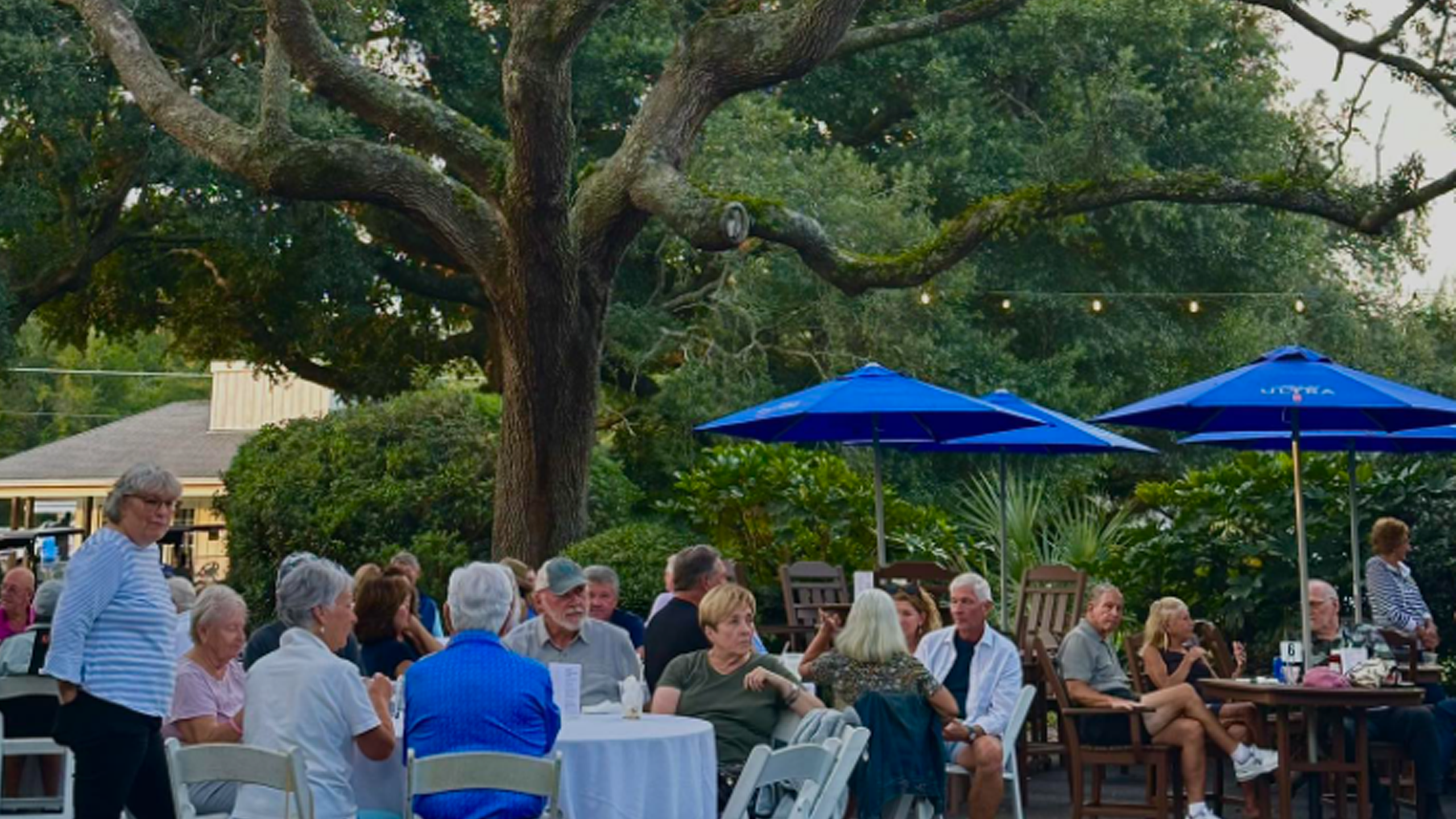 Live Music Under the Oaks
