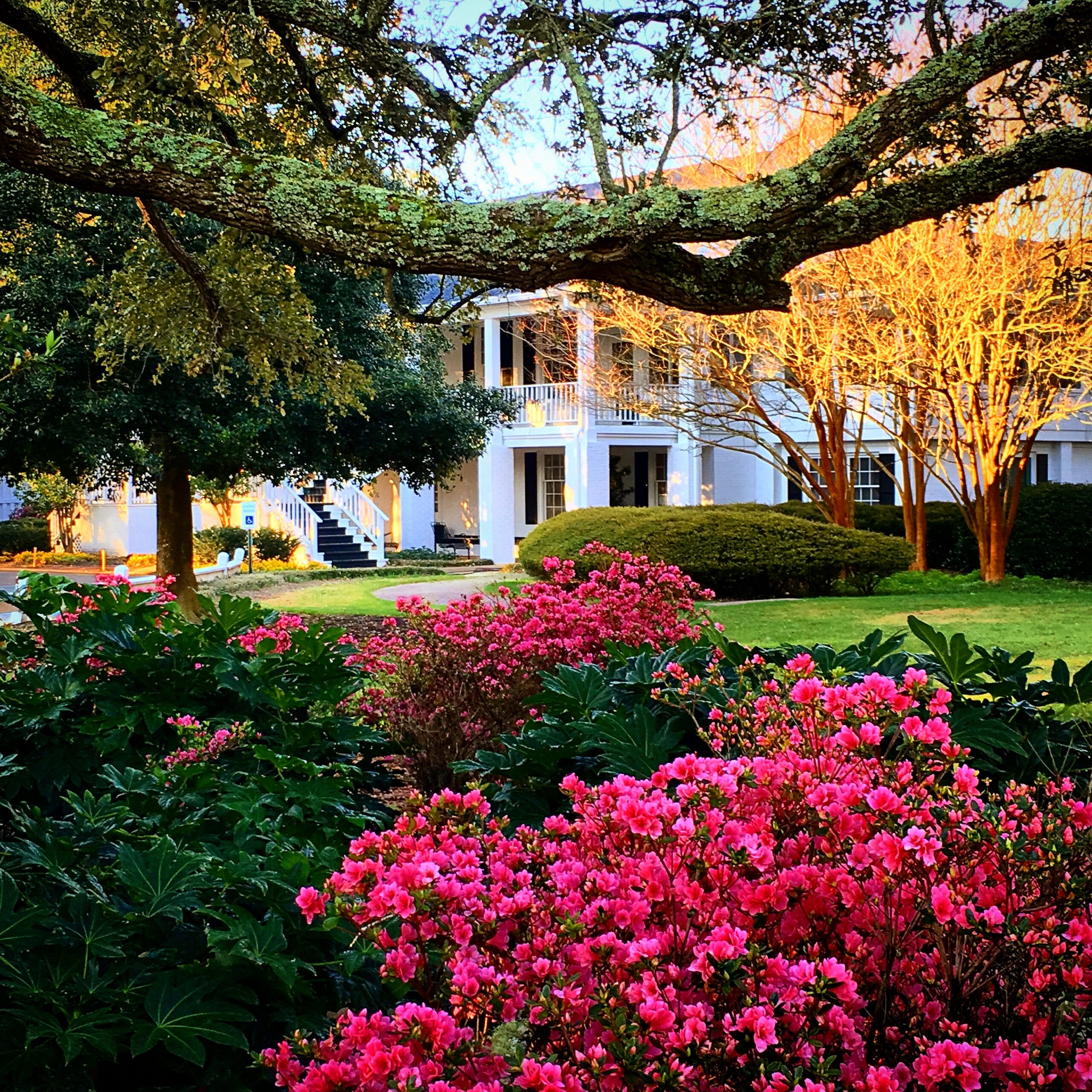 Litchfield CC Clubhouse (2)