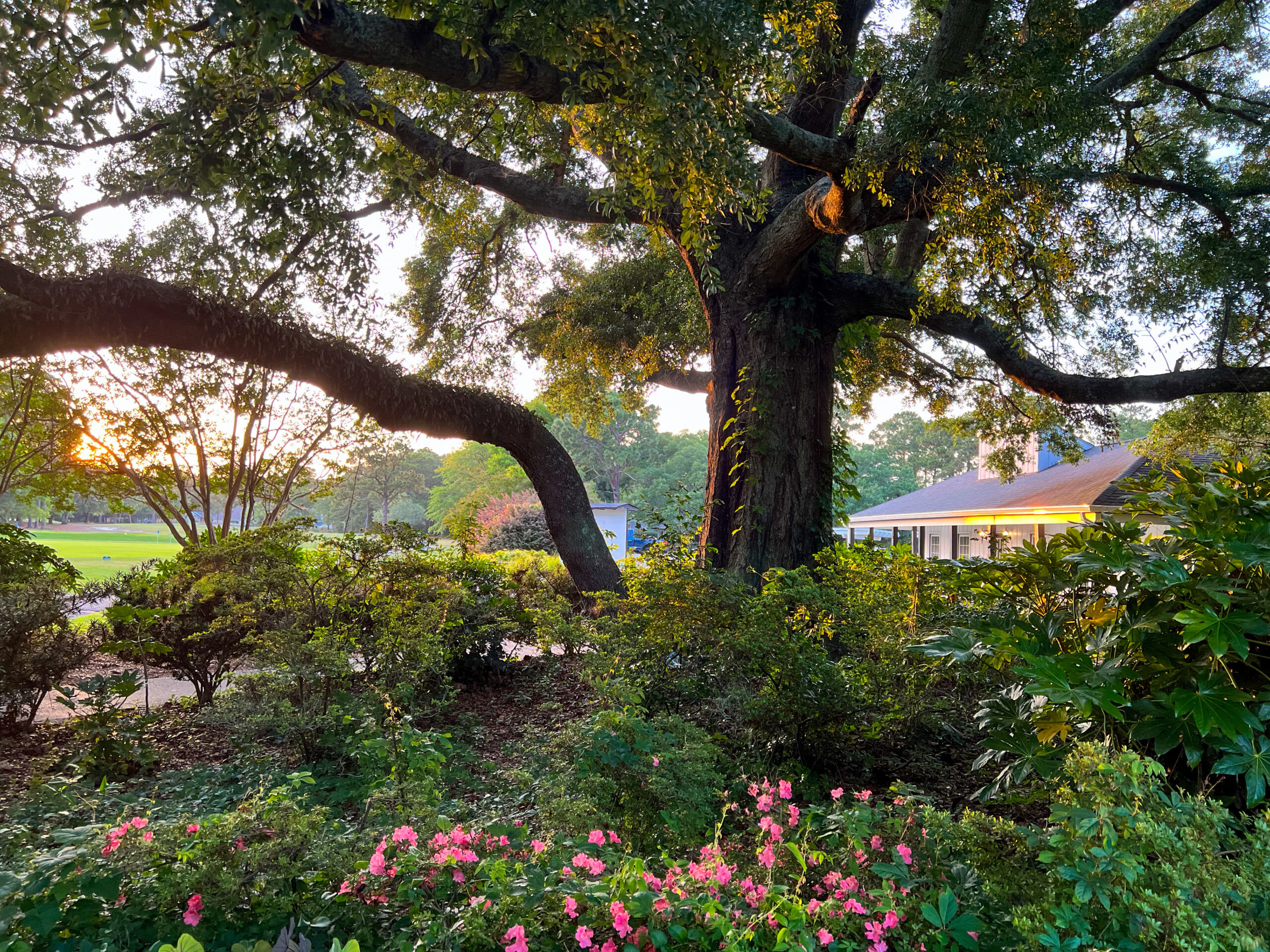 Litchfield CC Golf Shop Sunset